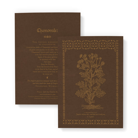 Hamnet x Open Sea Design: Herbs 3-Notebook Bundle Brown