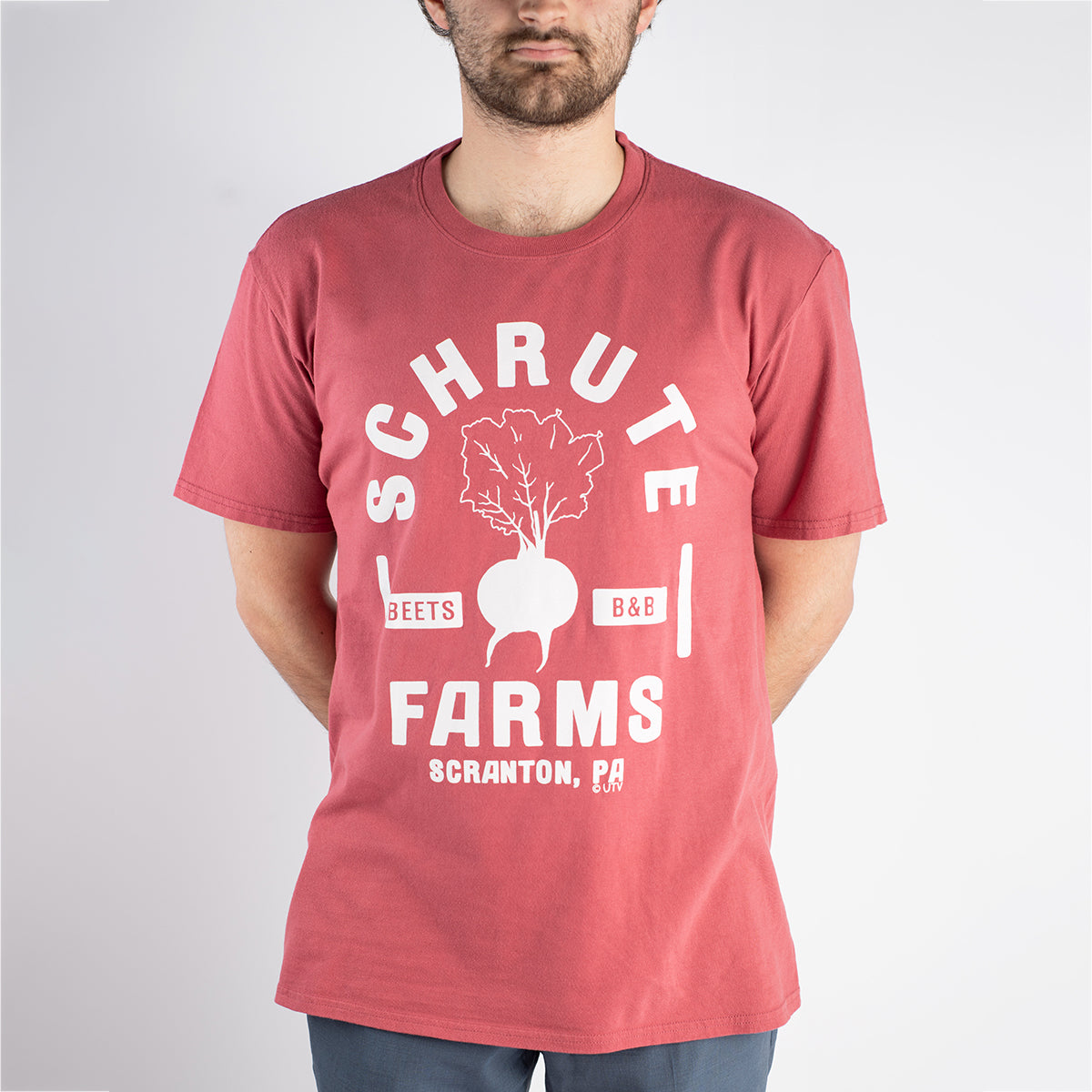 The Office Schrute Farms Vintage T-Shirt