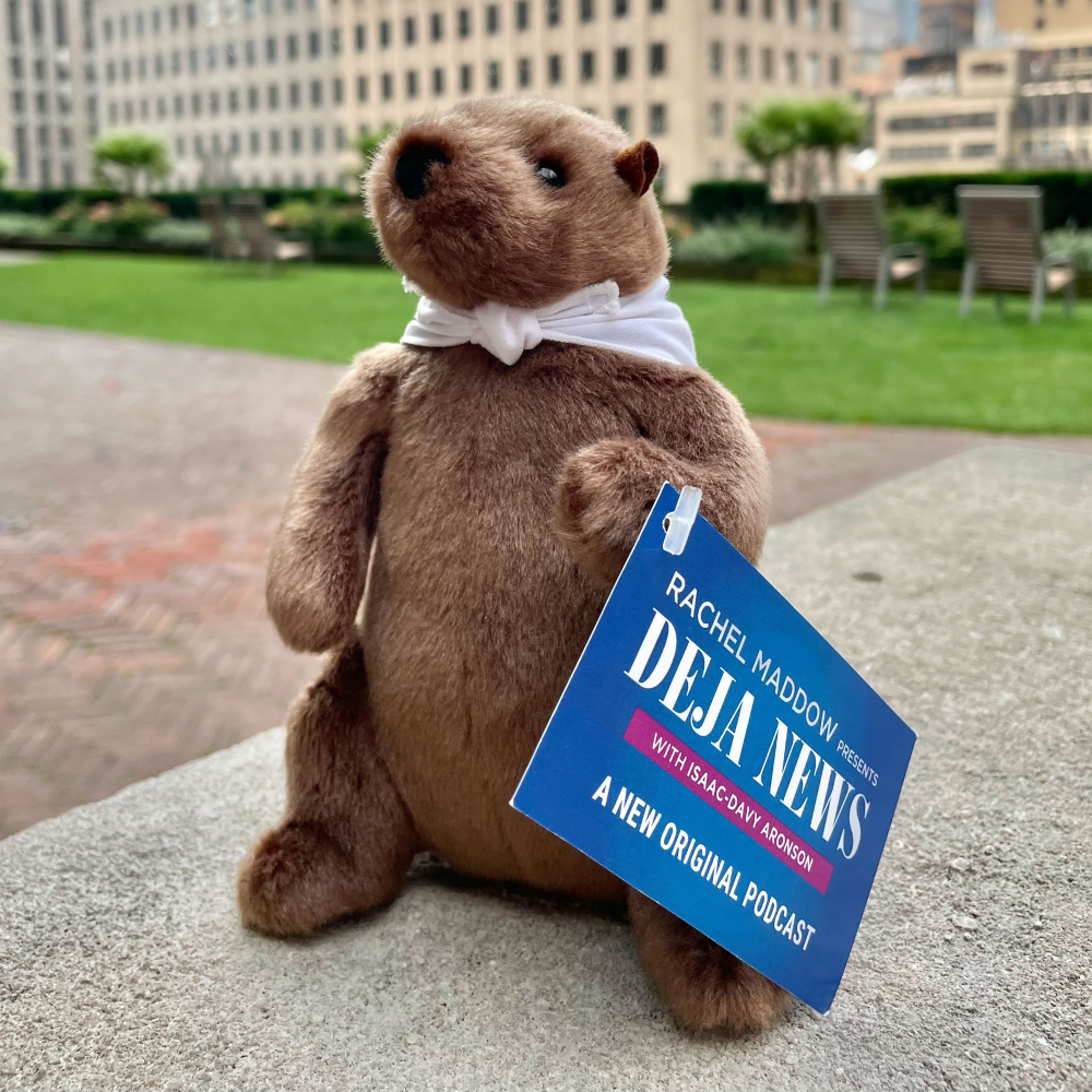The Rachel Maddow Show Deja News Podcast Groundhog Stuffed Animal