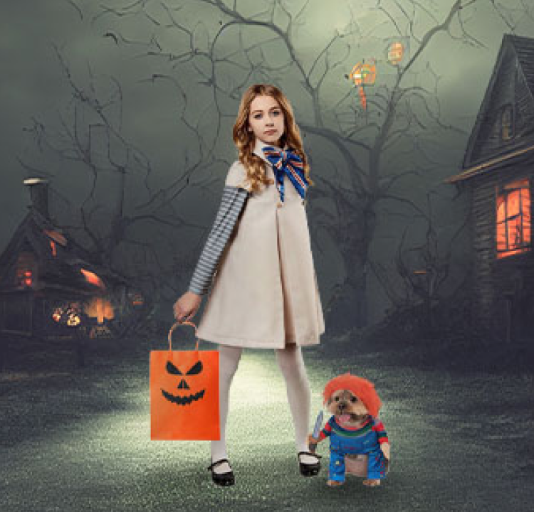 <p>HALLOWEEN COSTUMES</p>