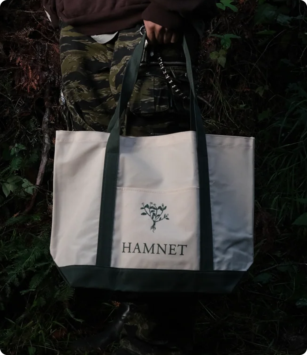 Link to /collections/hamnet