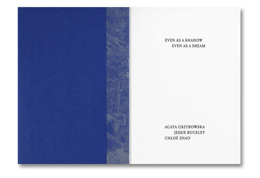 Even as a Shadow, Even as a Dream book