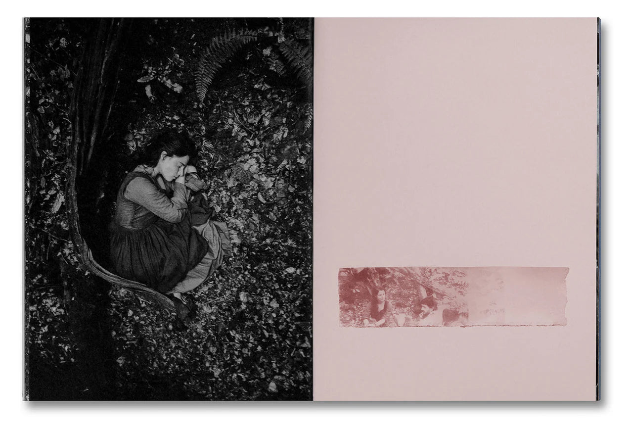 Even as a Shadow, Even as a Dream book