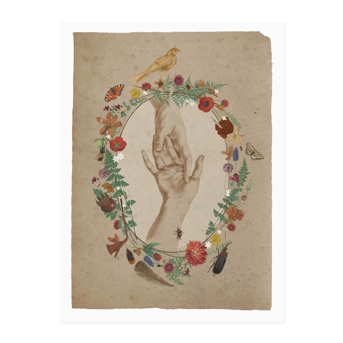 Hamnet x Open Sea Design: Agnes Art Print Multi