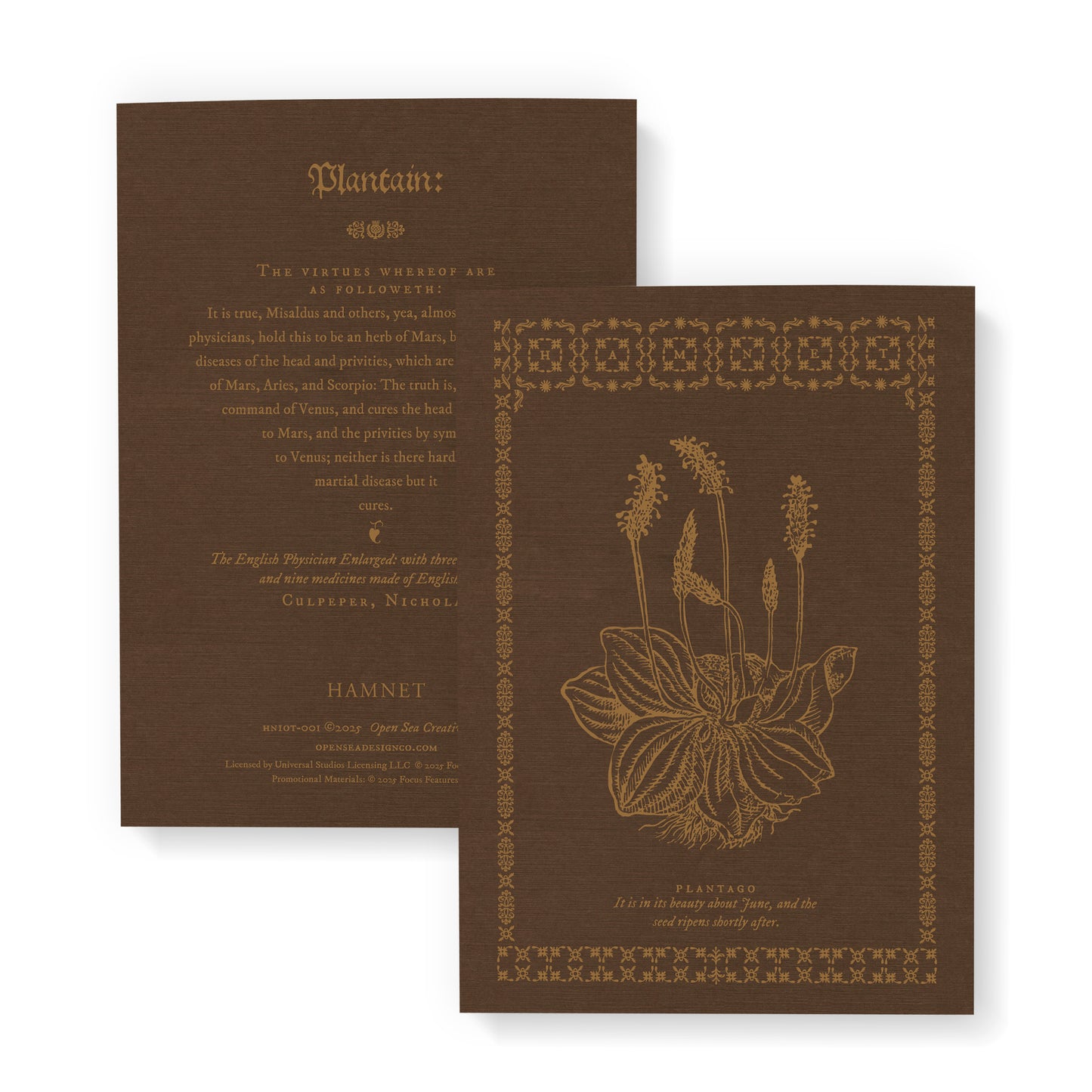 Hamnet x Open Sea Design: Herbs 3-Notebook Bundle