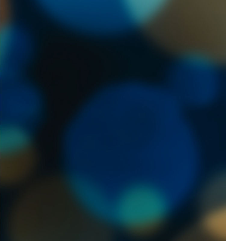 premium-banner-focus features gift guide