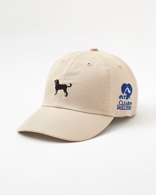 The Black Dog x Clear the Shelter Canvas Cap Light Brown