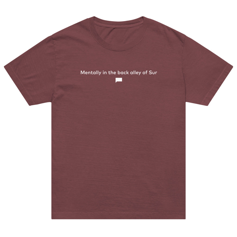 Vanderpump Rules Oversized T-Shirt Sur Back Alley Washed Maroon