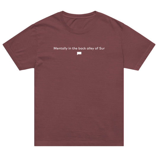 Vanderpump Rules Oversized T-Shirt Sur Back Alley Washed Maroon