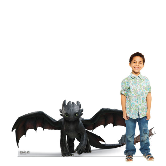 How to Train Your Dragon Live Action Toothless Standee
