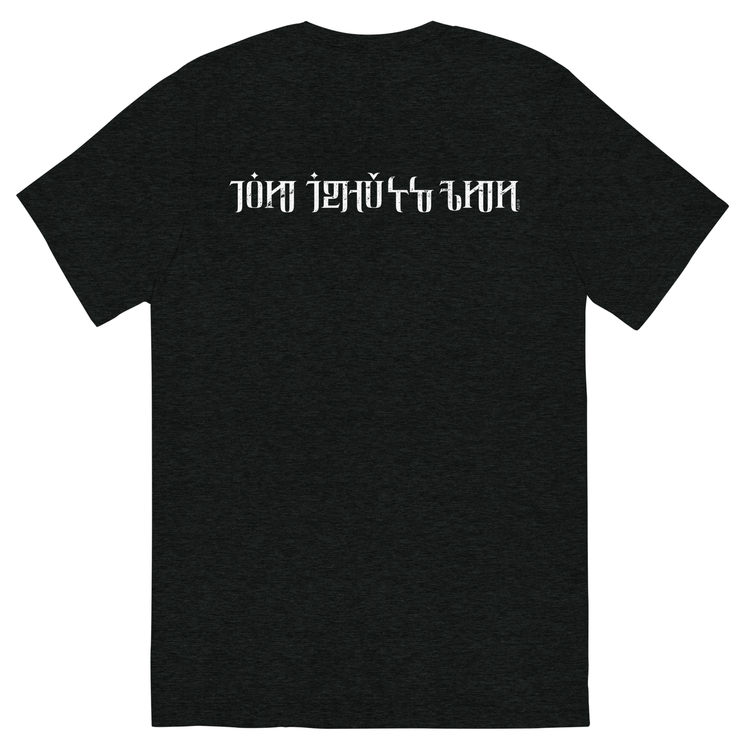 Vampire Academy Dhampir Adult Tri-Blend T-Shirt