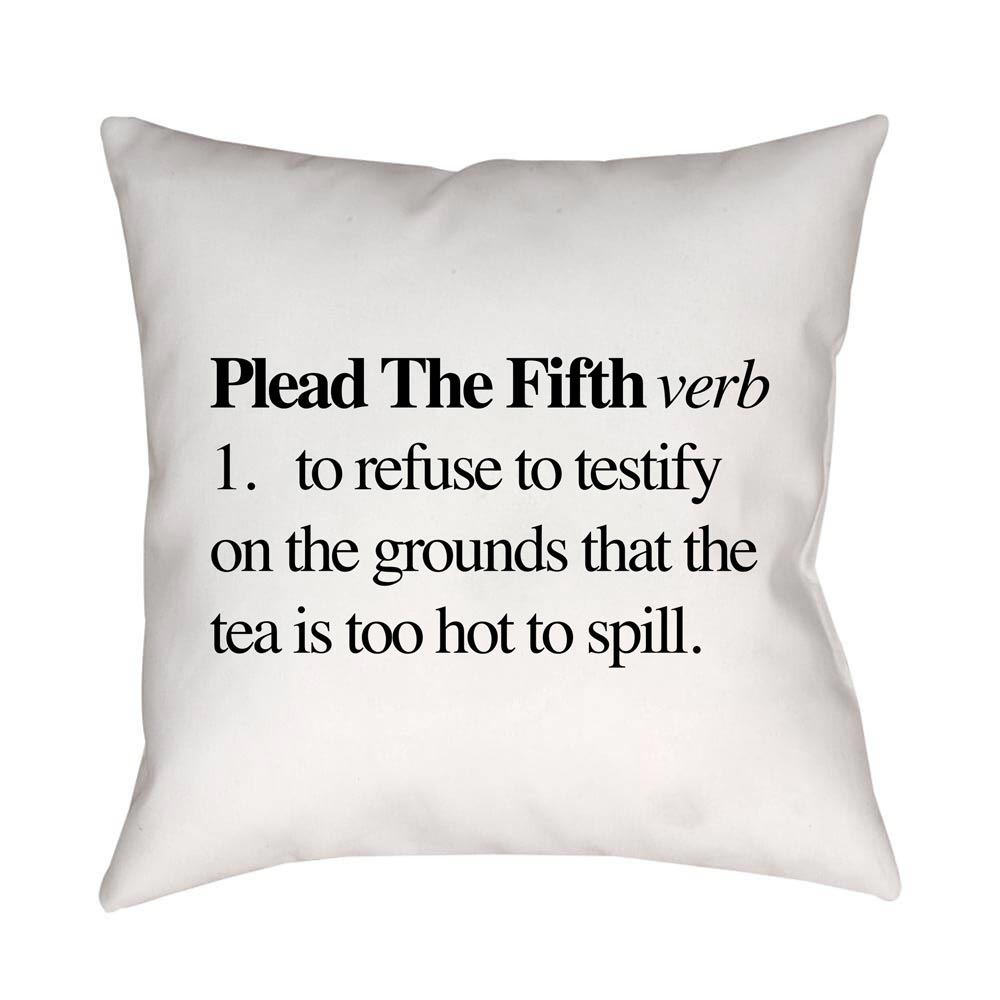 Plead the Fifth Pillow - 16 X 16