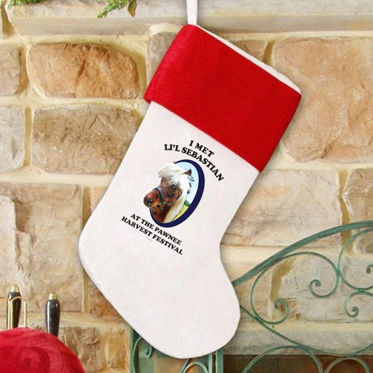 Parks and Recreation Li'l Sebastian Stocking